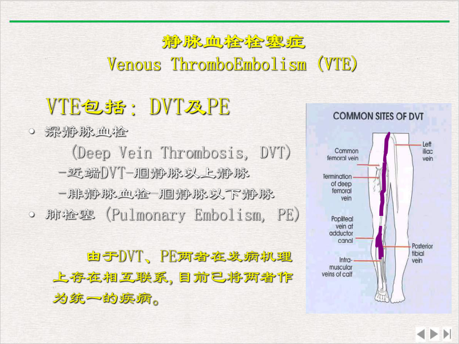 深静脉血栓的临床诊断与处理策略光雪峰优选课件.pptx_第3页