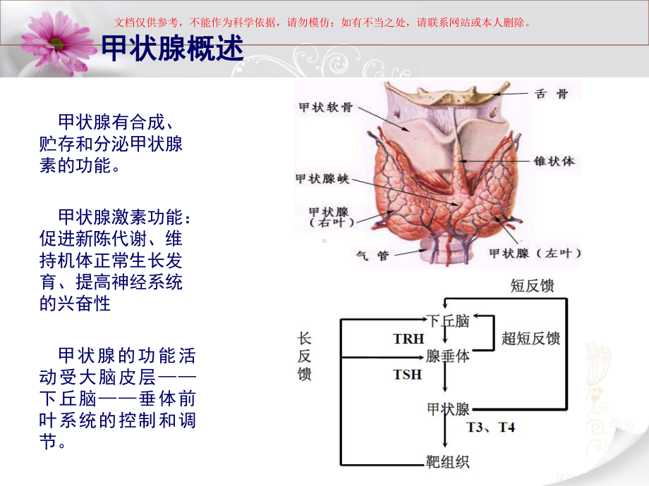 甲状腺十项和临床意义课件.ppt_第1页