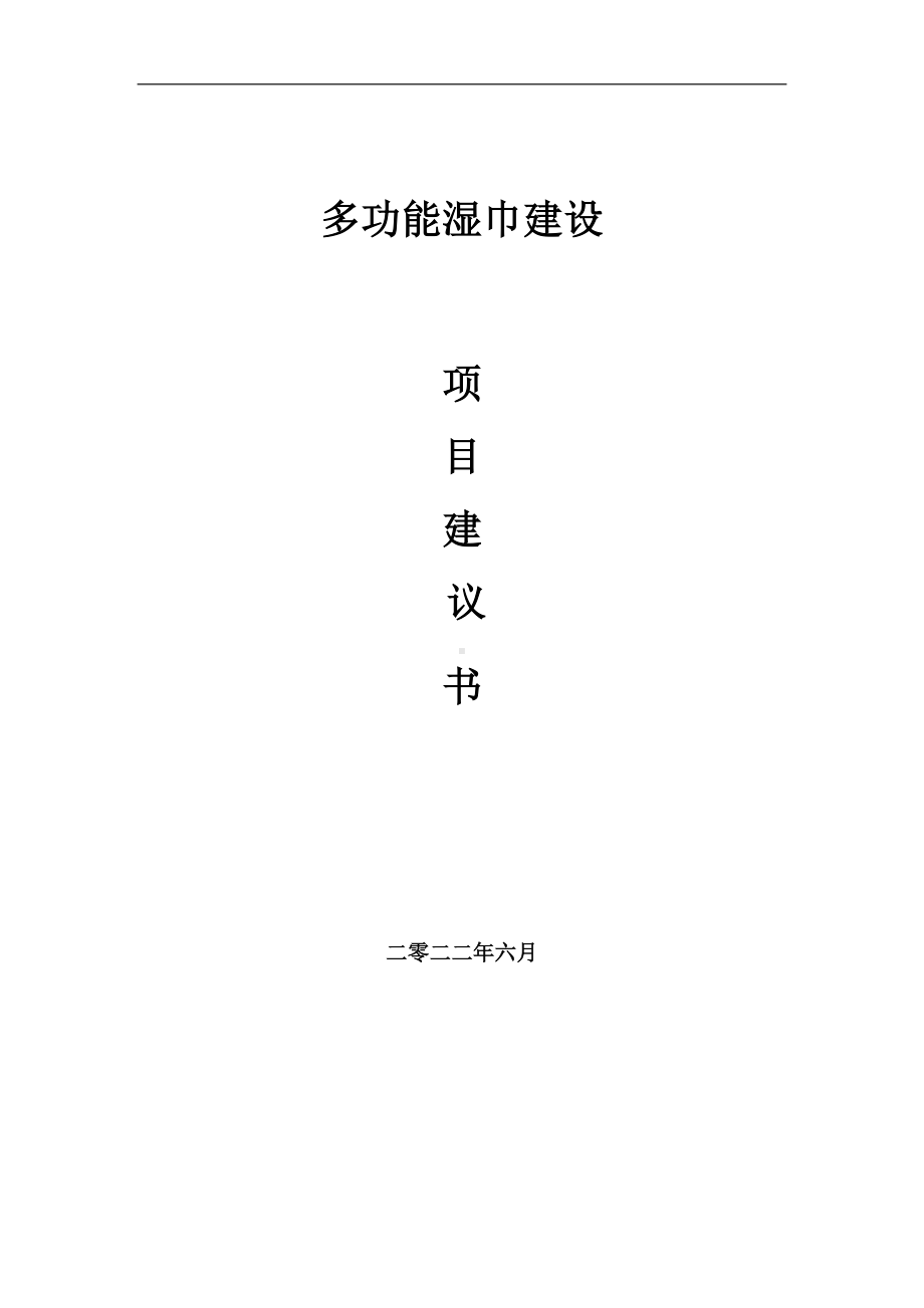 多功能湿巾项目建议书（写作模板）.doc_第1页