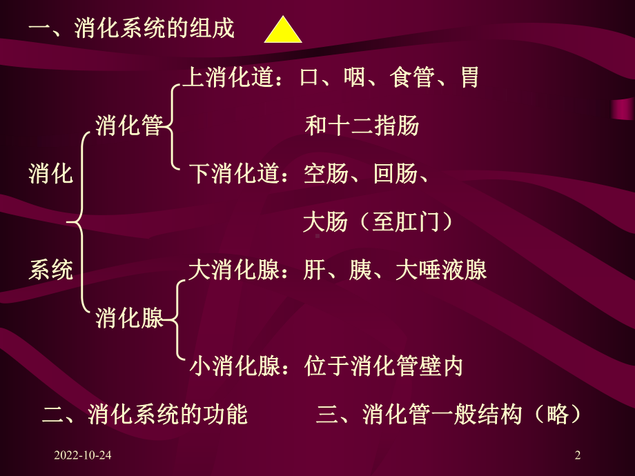 消化系统主题讲座课件.ppt_第2页