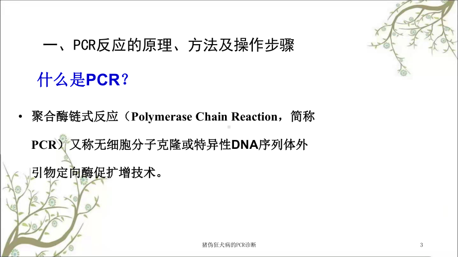 猪伪狂犬病的PCR诊断课件.ppt_第3页