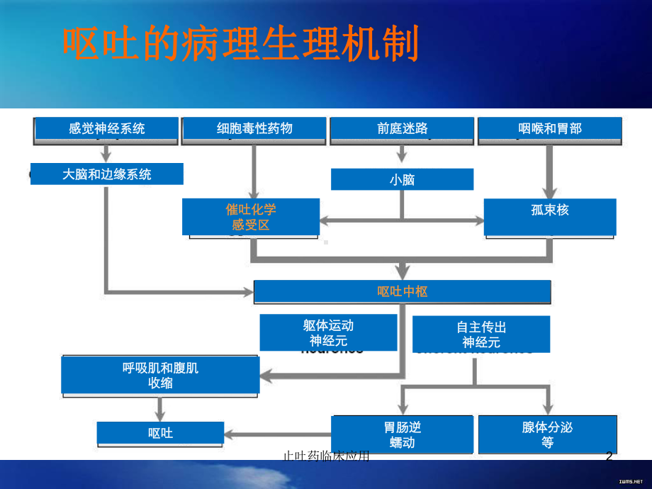 止吐药临床应用培训课件.ppt_第2页