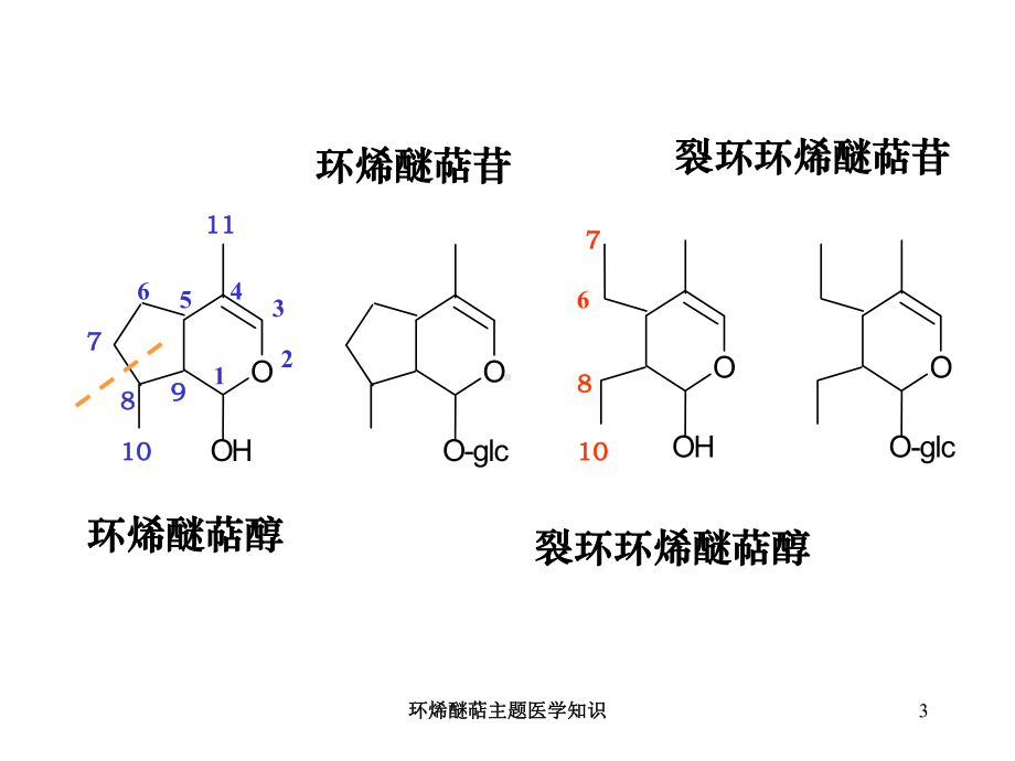 环烯醚萜主题医学知识培训课件.ppt_第3页