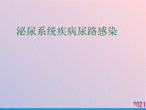 泌尿系统疾病尿路感染课件.ppt