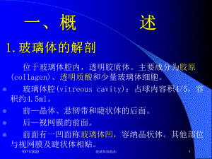 玻璃体病临床培训课件.ppt