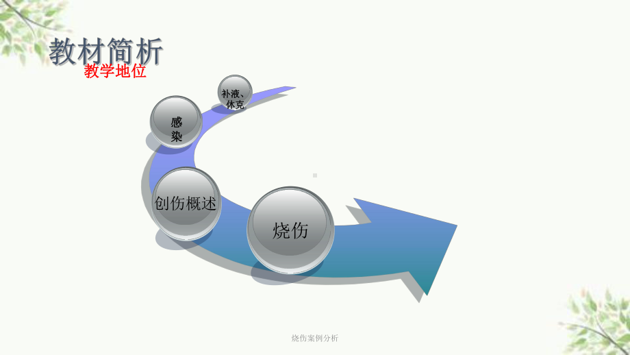 烧伤案例分析课件.ppt_第2页