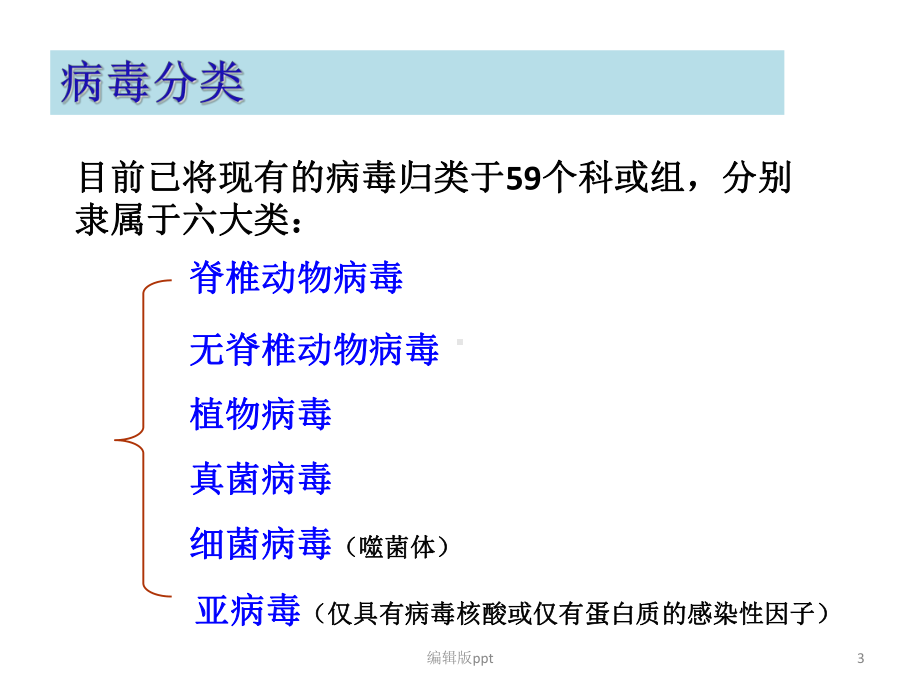 病毒学概论医学课件.ppt_第3页