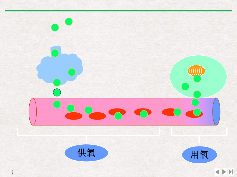 病理生理学篇缺氧课件.pptx_第3页