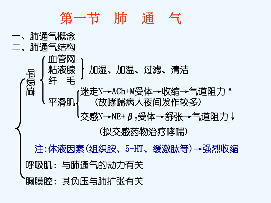 生理学课件呼吸-2.ppt_第3页