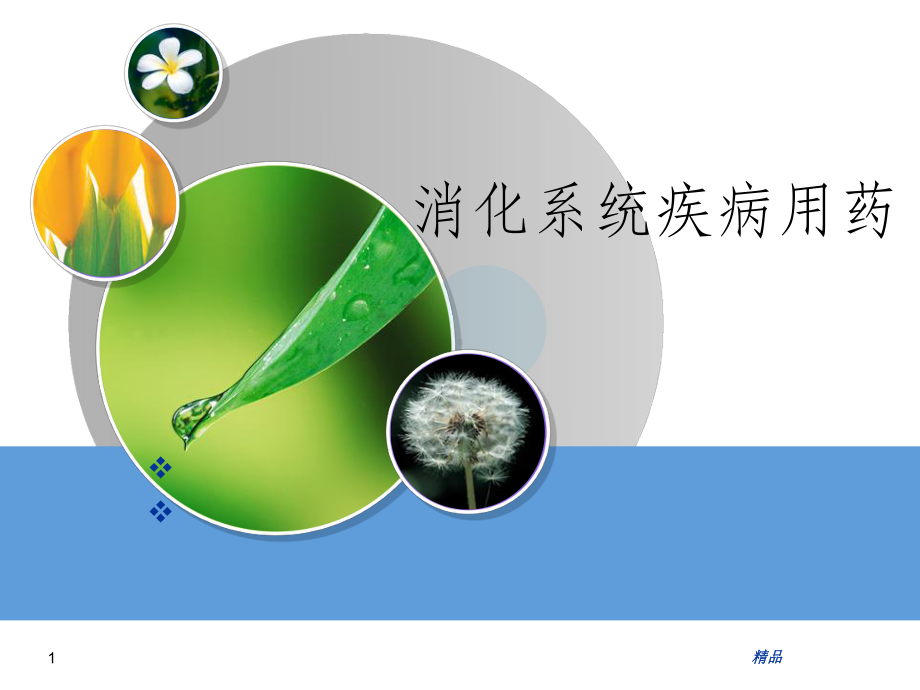 消化系统用药课件.ppt_第1页