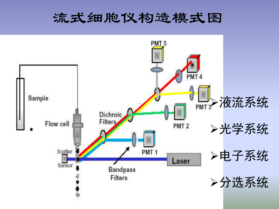 流式细胞术在临床中的应用课件.pptx_第3页