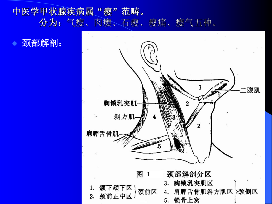 甲状腺疾病讲稿专业知识讲座培训课件.ppt_第2页