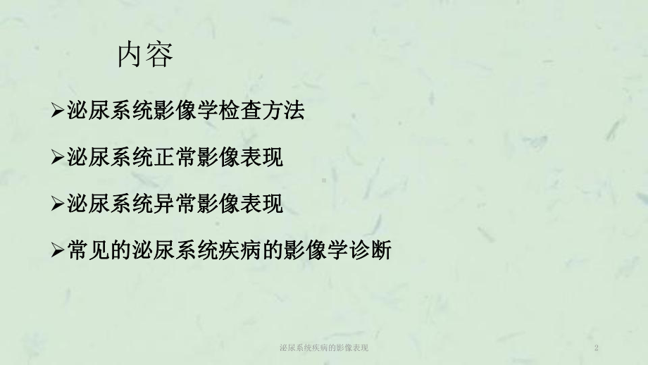 泌尿系统疾病的影像表现课件.ppt_第2页