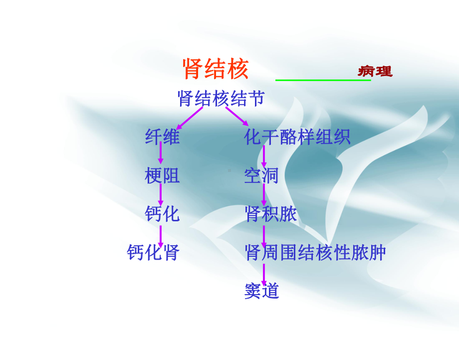 泌尿系结核与感染优质版课件.pptx_第3页