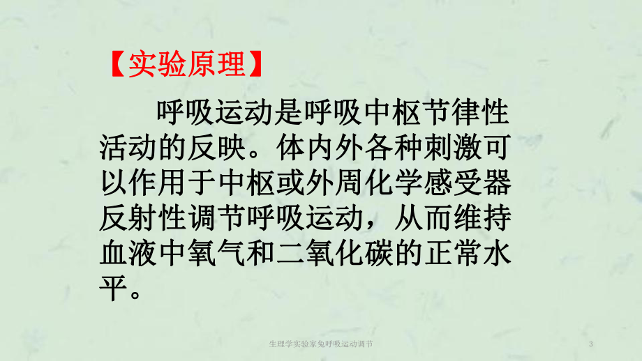 生理学实验家兔呼吸运动调节课件.ppt_第3页