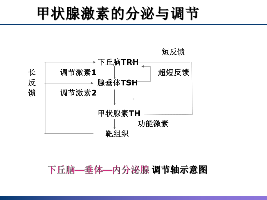 甲状腺检查与甲状腺疾病课件.pptx_第2页