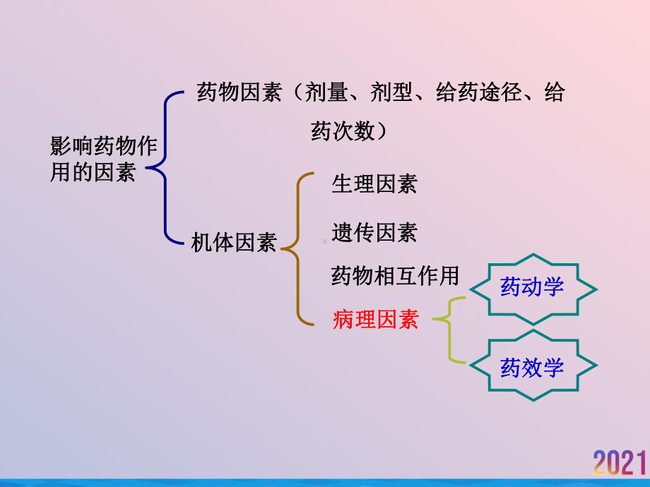 疾病对临床用药的影响课件-2.ppt_第2页