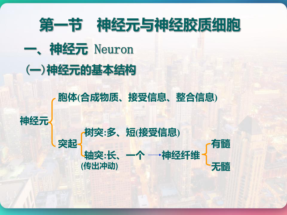 生理学第十章神经系统-课件.pptx_第2页