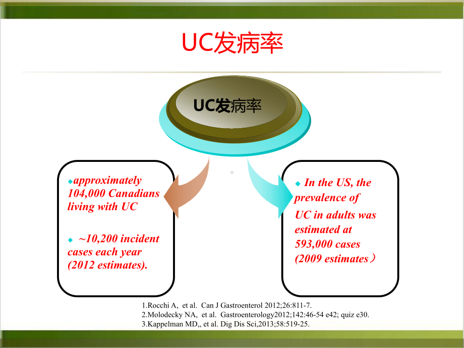 溃疡性结肠炎药物治疗临床应用课件.pptx_第3页