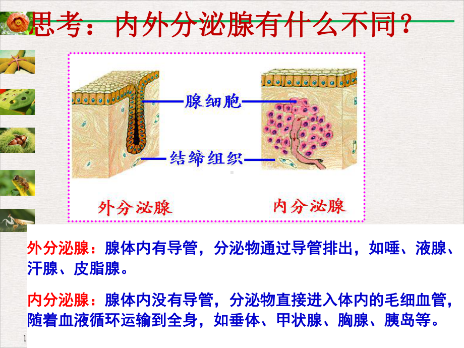 甲状腺激素分泌异常功能课件.pptx_第3页