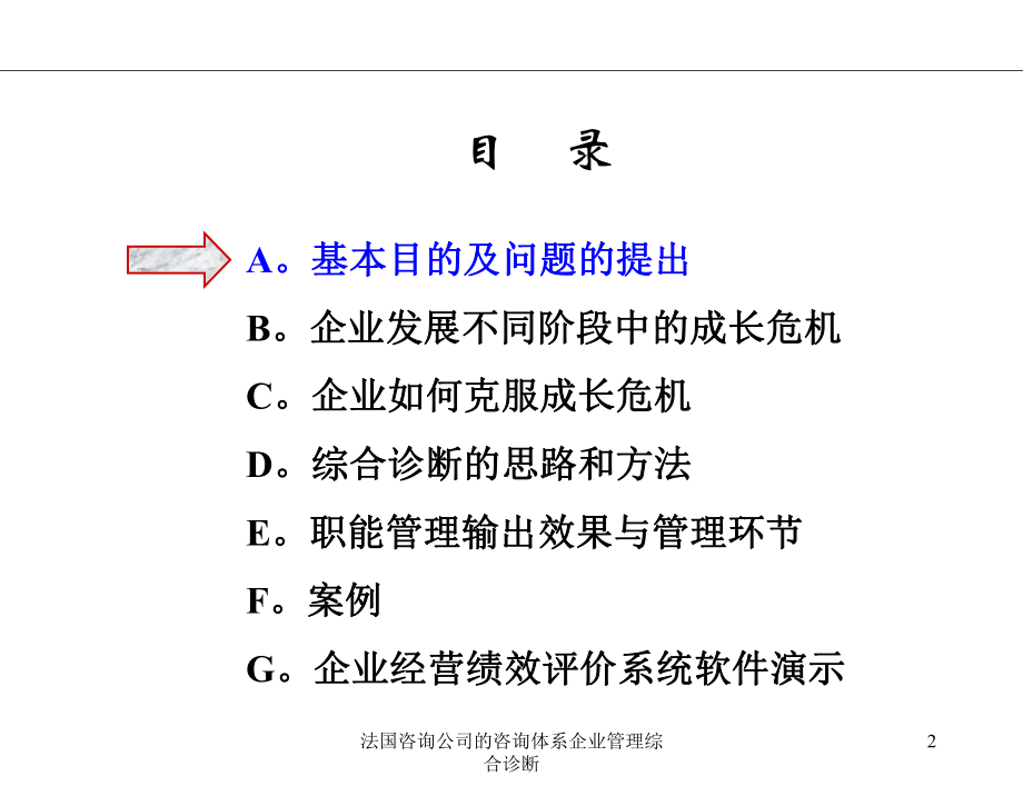 法国咨询公司的咨询体系企业管理综合诊断课件.ppt_第2页