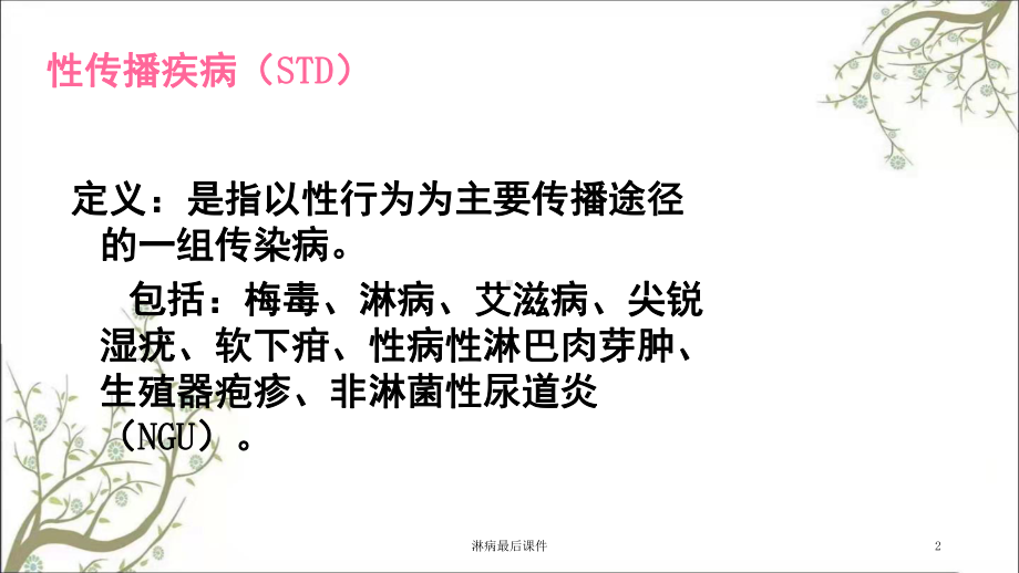 淋病最后课件.ppt_第2页