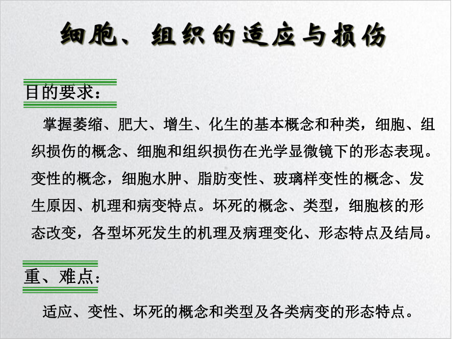 病理学组织的适应和损伤课件.ppt_第2页