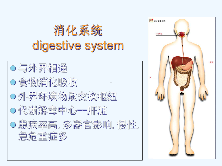 病理学胃炎胃溃疡胃癌阑尾炎课件.ppt_第3页