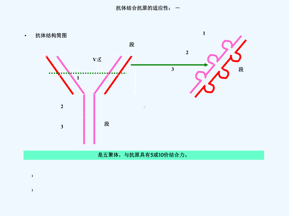 病毒性肝炎血清学检测的基础与实践课件.ppt_第3页