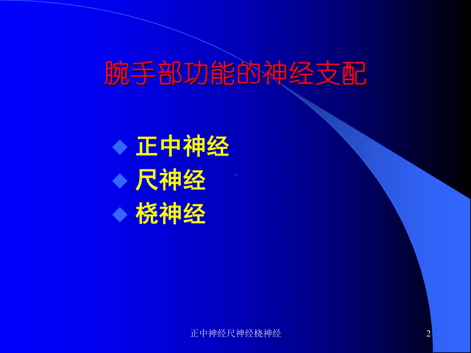 正中神经尺神经桡神经课件.ppt_第2页