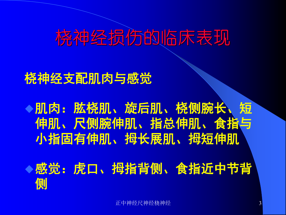 正中神经尺神经桡神经课件.ppt_第3页