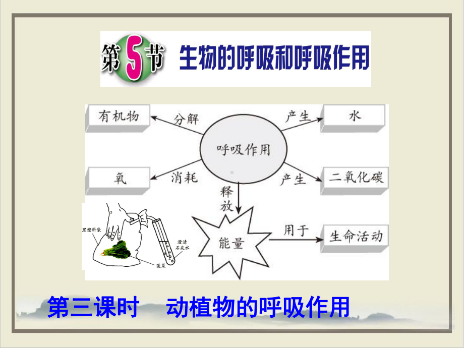 生物的呼吸和呼吸作用浙教版八级科学下册2课件.pptx_第1页