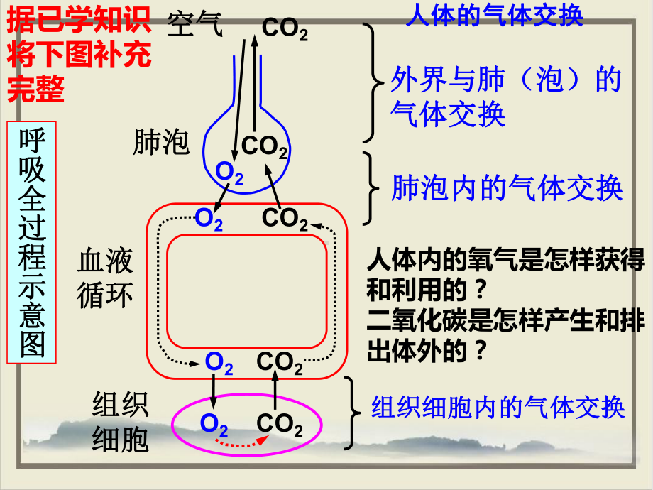 生物的呼吸和呼吸作用浙教版八级科学下册2课件.pptx_第2页