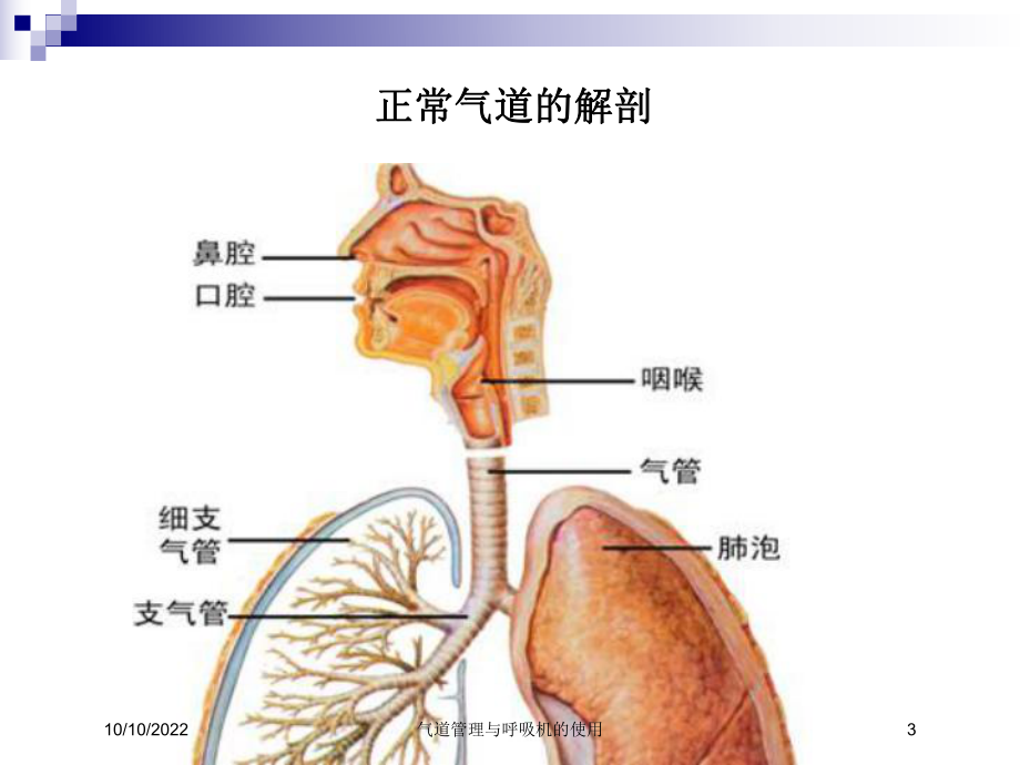 气道管理与呼吸机的使用培训课件.ppt_第3页