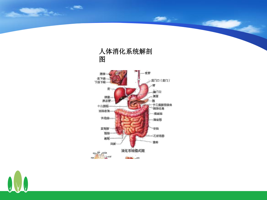 消化内科合理用药课件.ppt_第2页