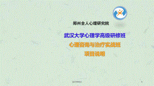 治疗师项目课件.ppt