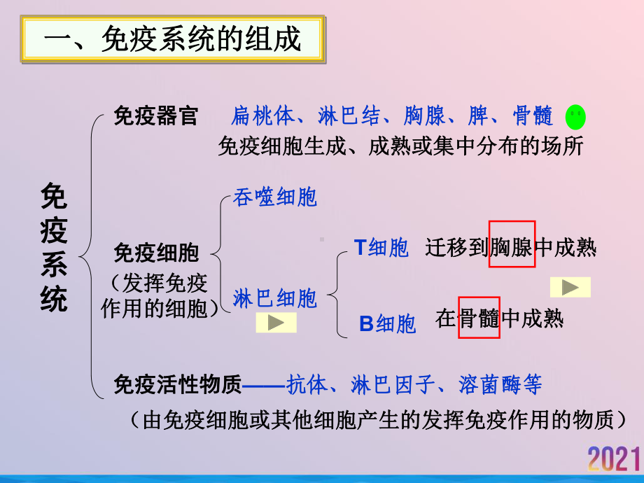 生物必修免疫调节课件.ppt_第3页