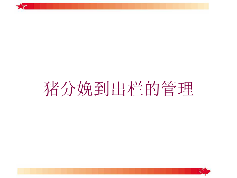 猪分娩到出栏的管理培训课件.ppt_第1页