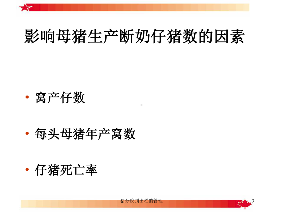 猪分娩到出栏的管理培训课件.ppt_第3页