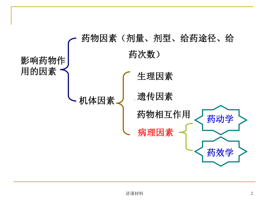 疾病对临床用药的影响(优制课件).ppt_第2页