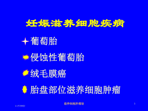 滋养细胞肿瘤版培训课件.ppt