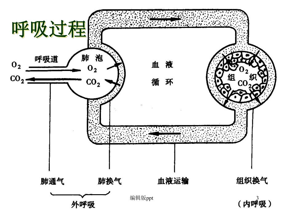 病理生理学案例版呼吸衰竭课件.ppt_第3页