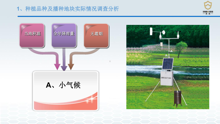 现代农业全程解决方案.pptx_第3页