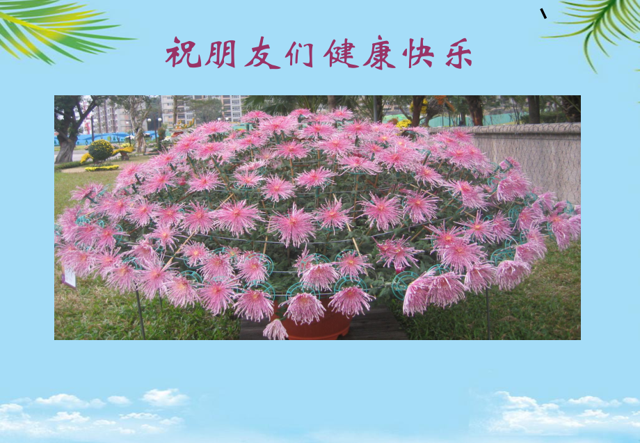 中医药治病的特色与优势.ppt_第2页