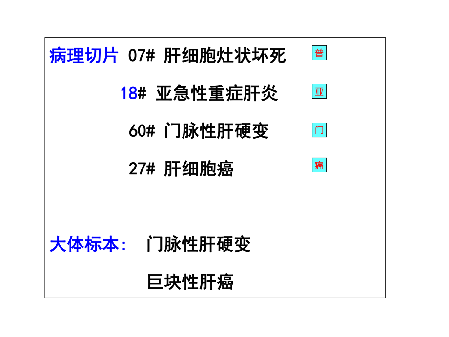 病理学(第八版)切片考试肝脏疾病实习电子教案课件.ppt_第2页