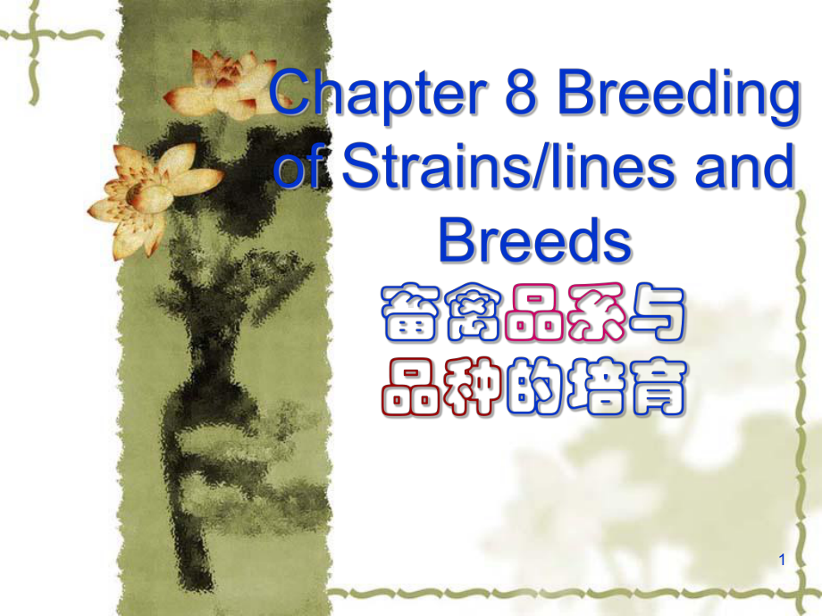 畜牧业课件Chapter08畜禽品系与品种的培育.ppt_第1页