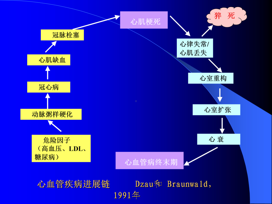 不同病因重症心力衰竭急诊救治对策课件1.ppt_第3页