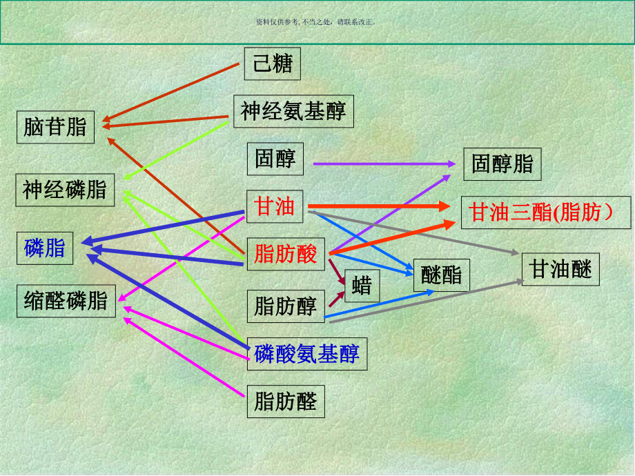 生物化学脂类代谢医学知识课件.ppt_第2页