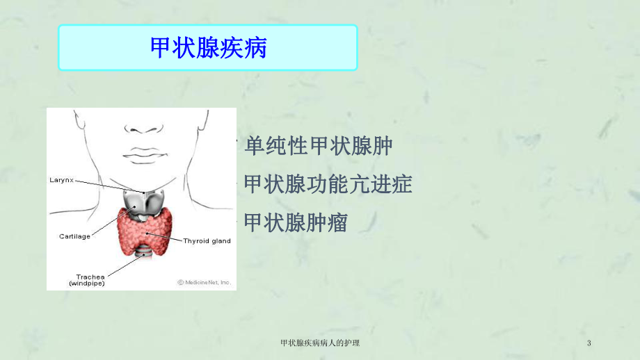 甲状腺疾病病人的护理课件.ppt_第3页