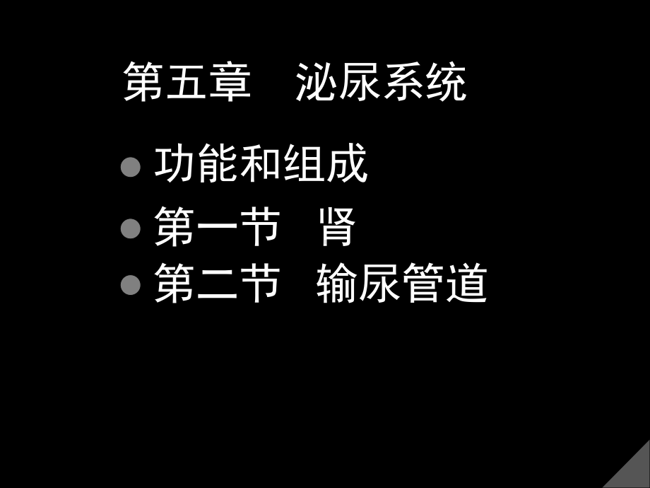 泌尿系统汇总培训课件.ppt_第1页